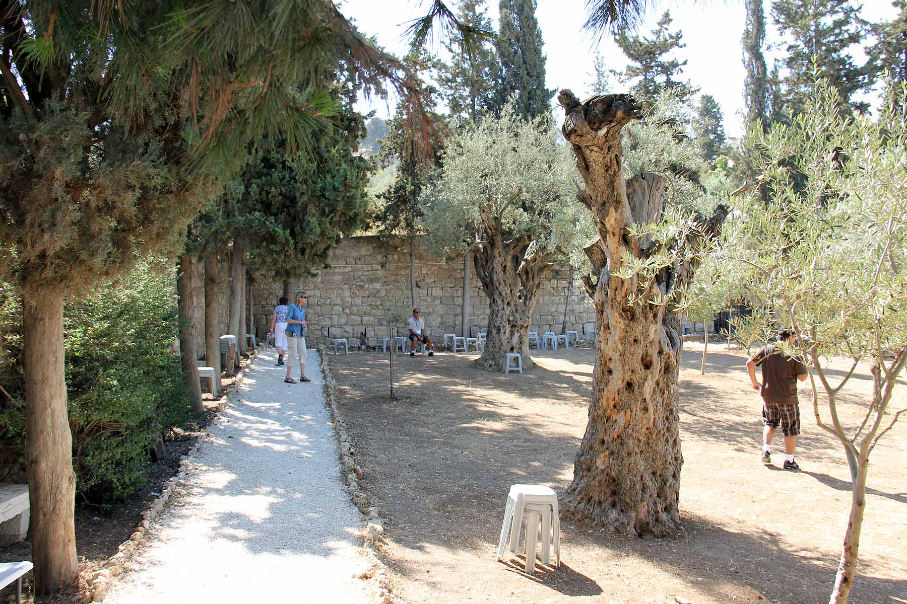 Gethsemane image 11